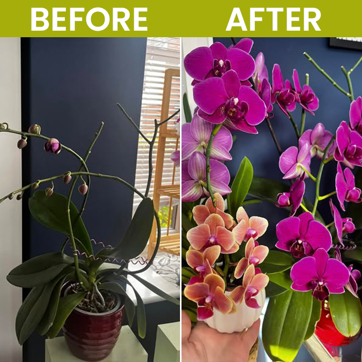 LIMETOW® Liquid Fertilizer for Flowering Plants
