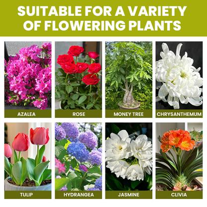 LIMETOW® Liquid Fertilizer for Flowering Plants