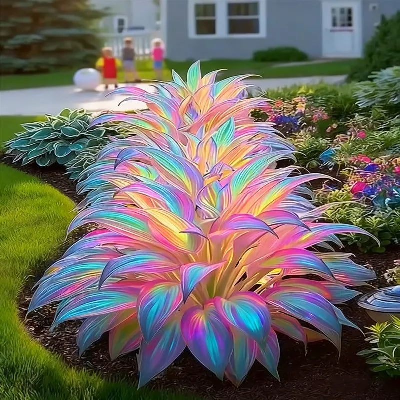 Rainbow Haze Plant Seeds
