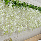 WISTERIA