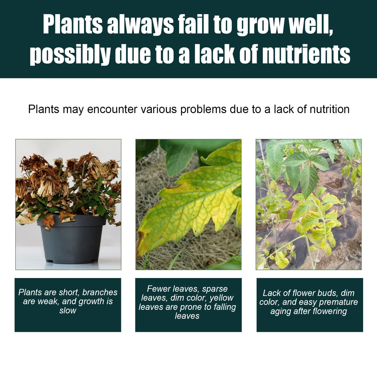 Plant growth nutritional supplements